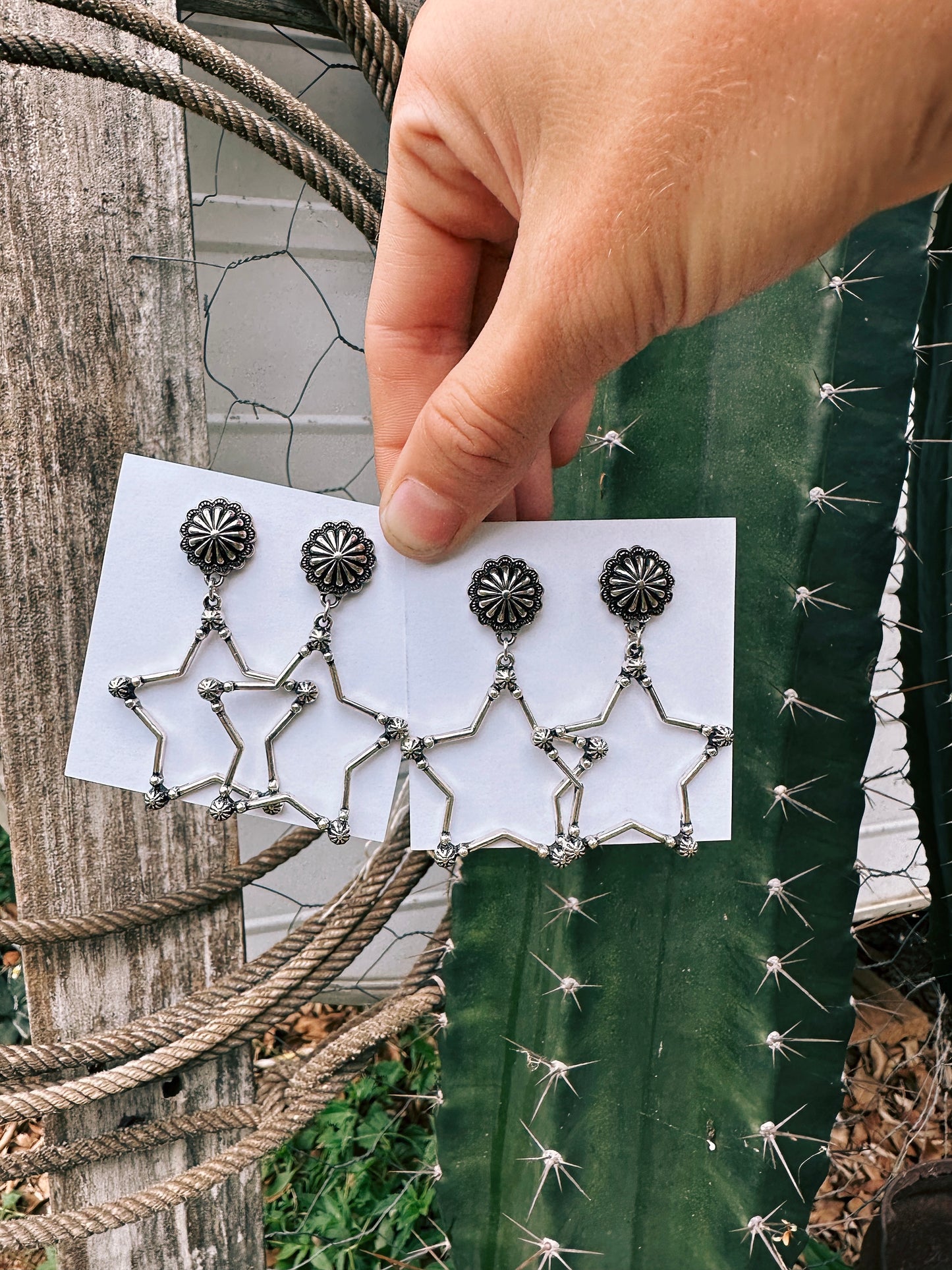 Cherokee star earrings ⭐️