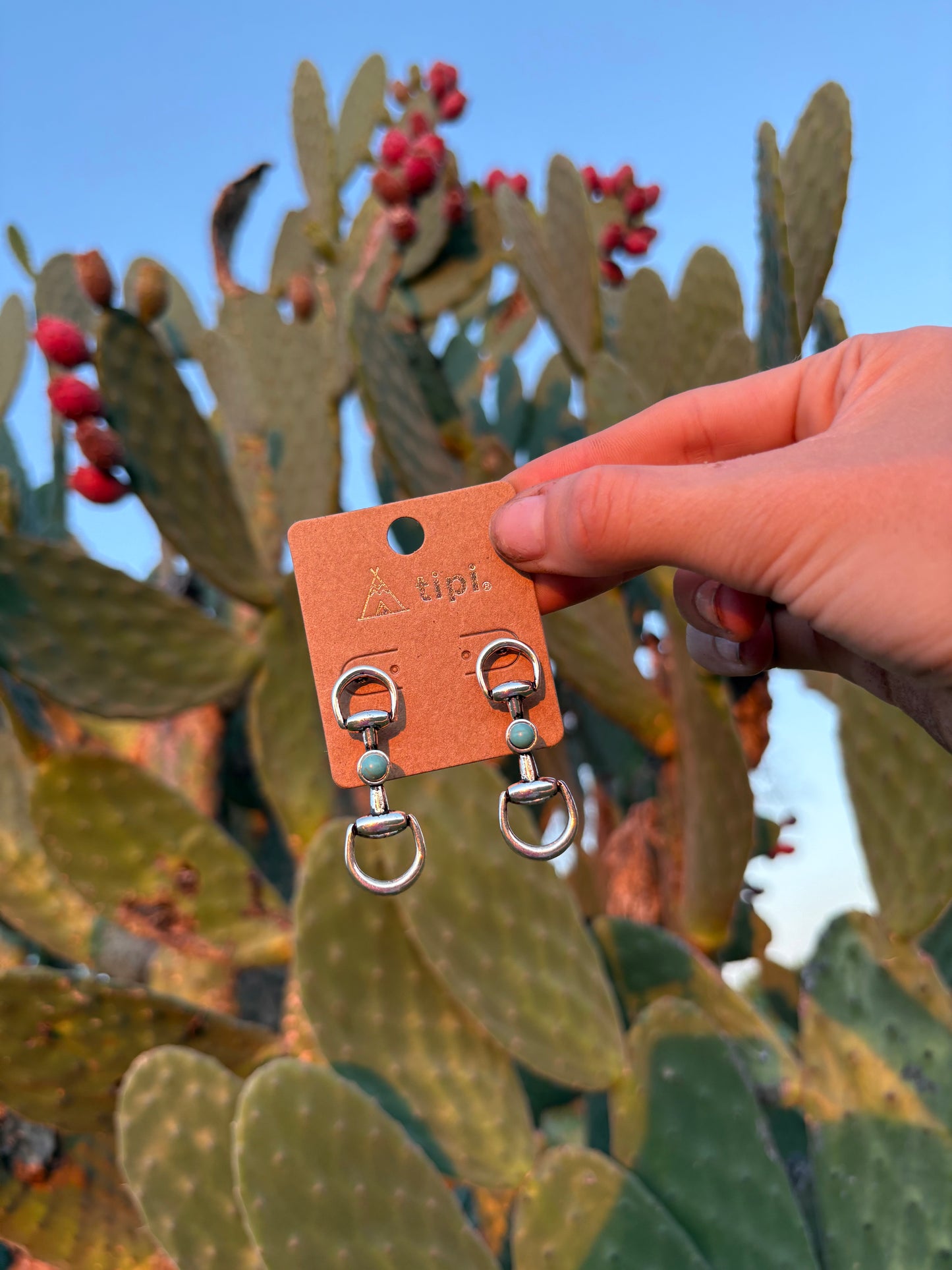 Snaffle Bit Earrings With Turquoise