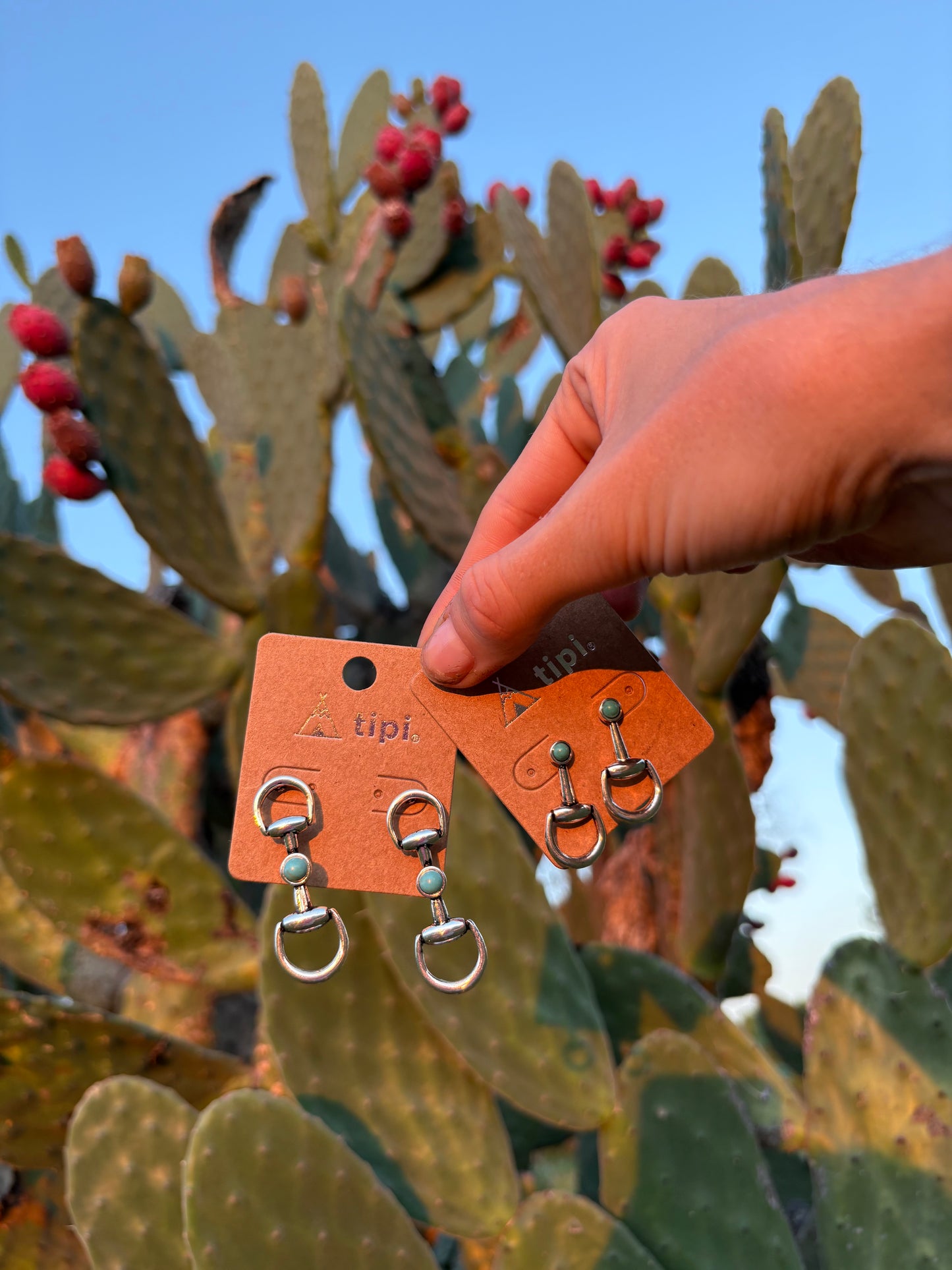 Snaffle Bit Earrings With Turquoise