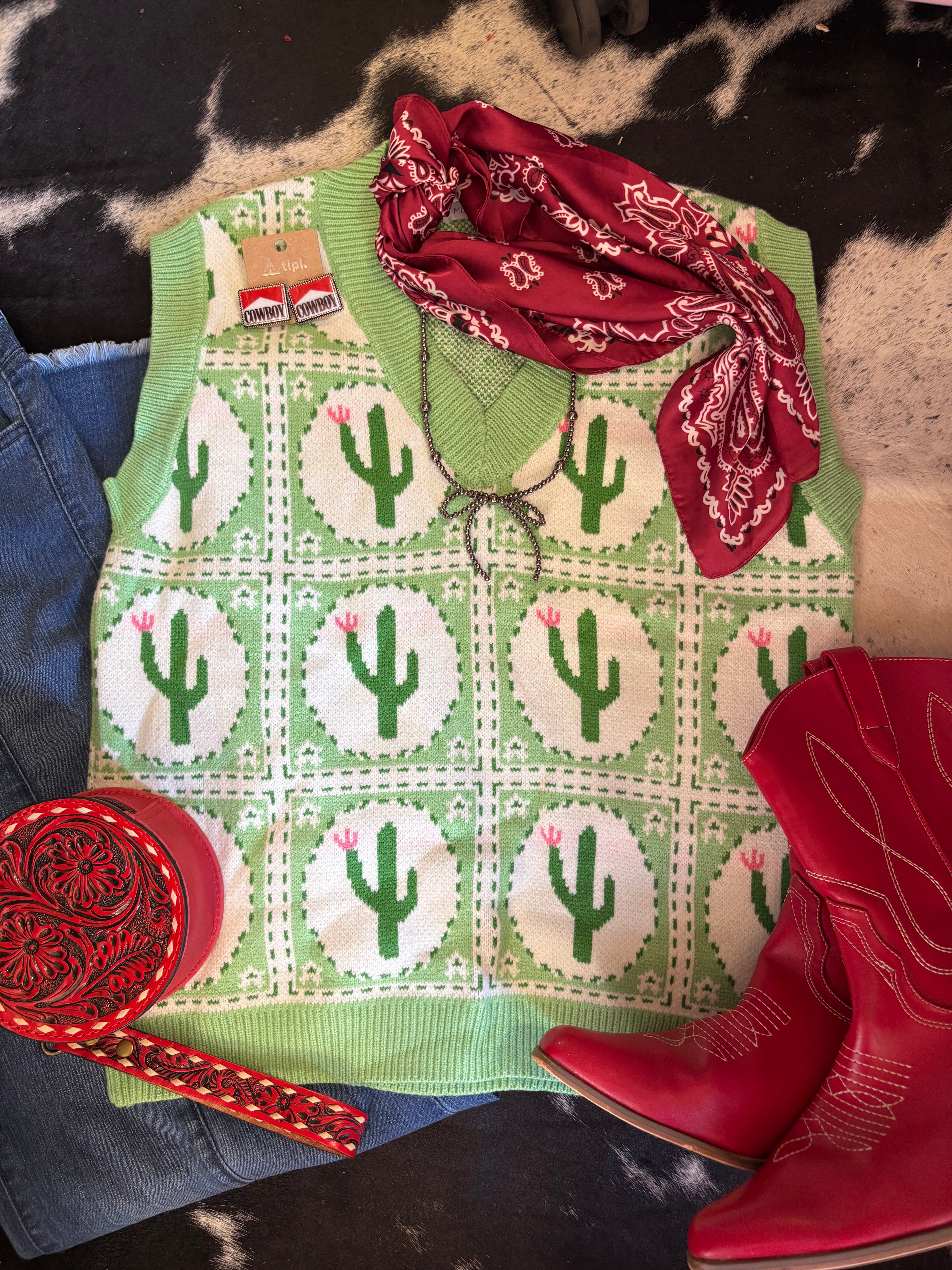 Cacti Sweater 🌵